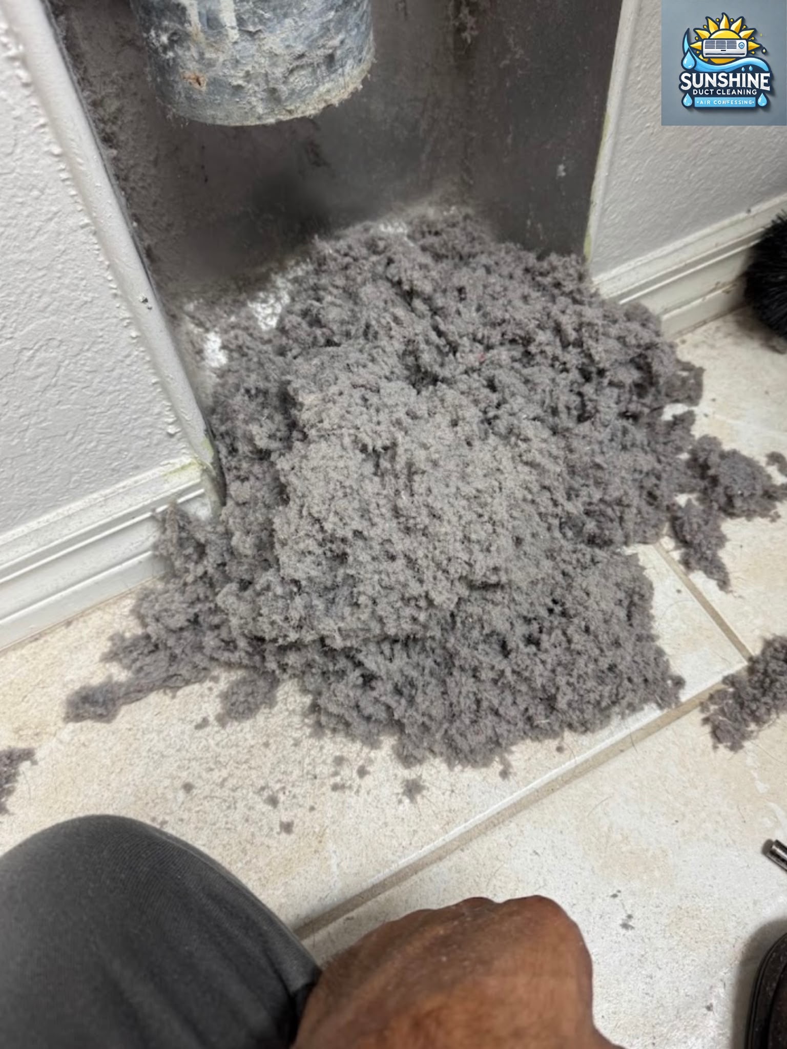 Large pile of lint and debris removed from a dryer vent during professional dryer vent cleaning in Tampa FL