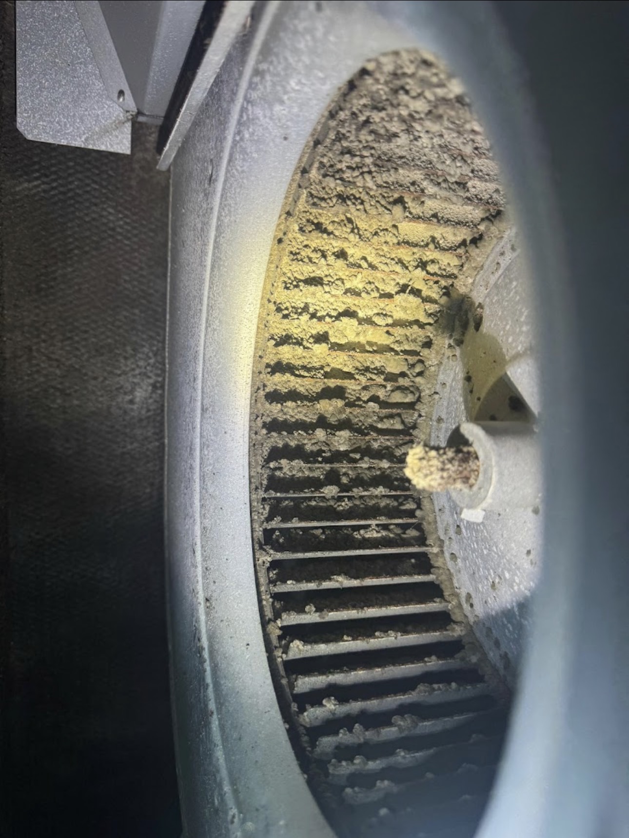 Blower wheel packed with dust before a West Palm Beach air duct cleaning