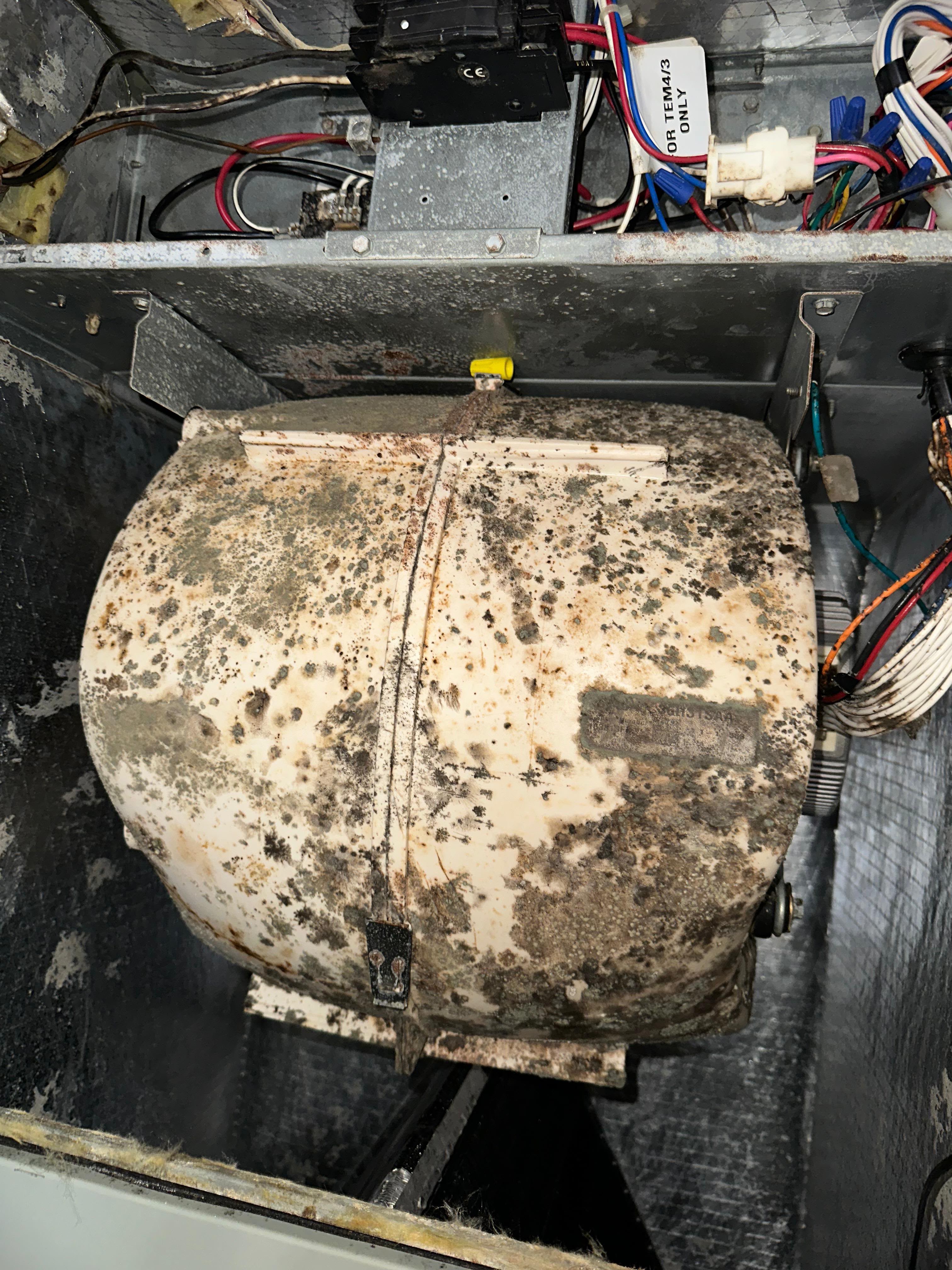 Mold and grime on HVAC compressor coil inside ductwork needing air duct sanitizing in Hillsborough County FL