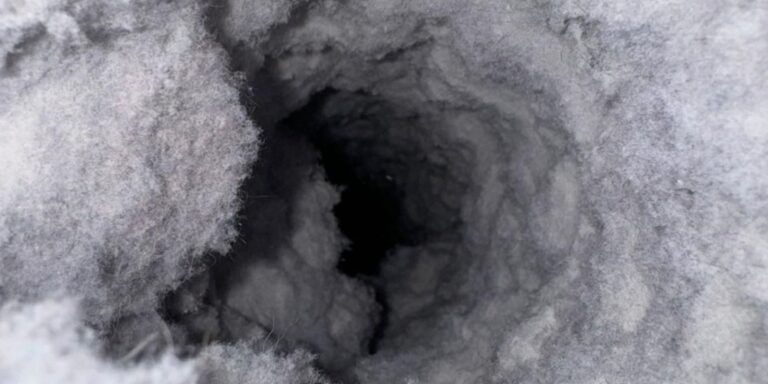 Air Duct Cleaning Service Valrico