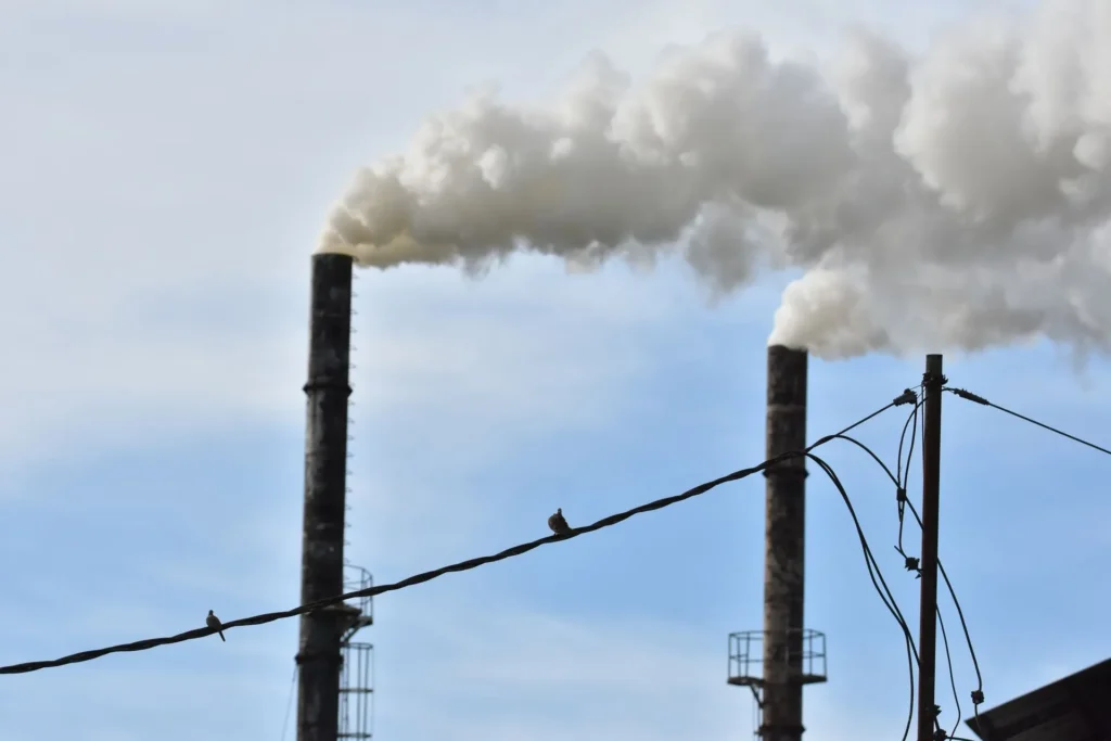 Florida’s Climate & Its Impact on Chimney Performance