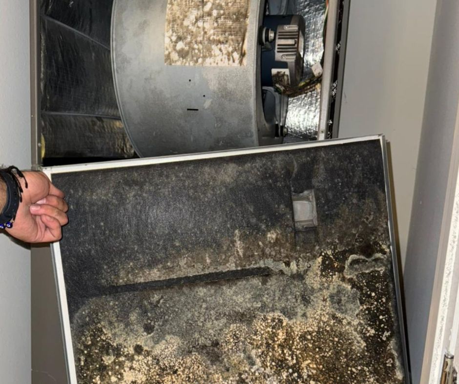 Dryer Vent Cleaning Florida